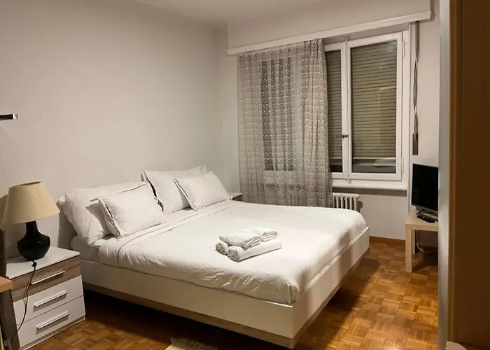 300m From The Train Station Apartman Lausanne