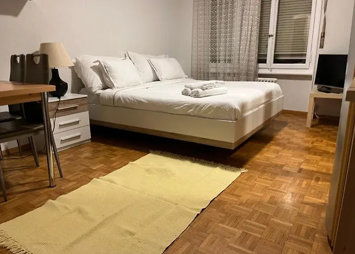 300m From The Train Station Apartament Lozanna