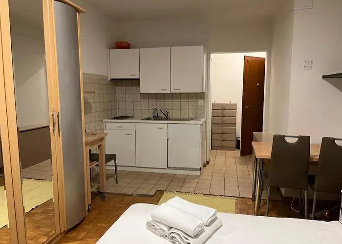 300m From The Train Station Lozanna