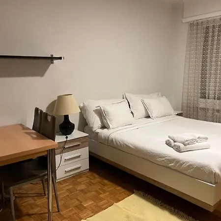 Apartament 300m From The Train Station Lozanna