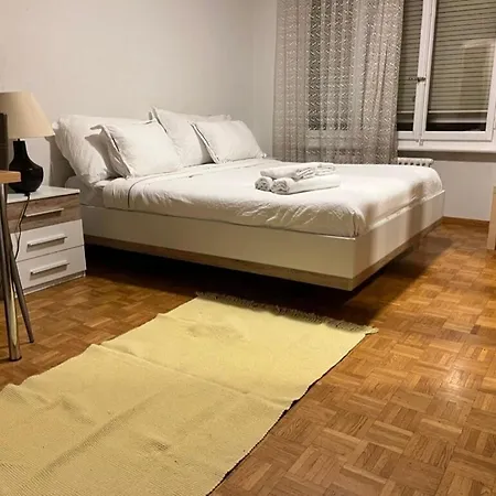 300m From The Train Station Apartament Lozanna